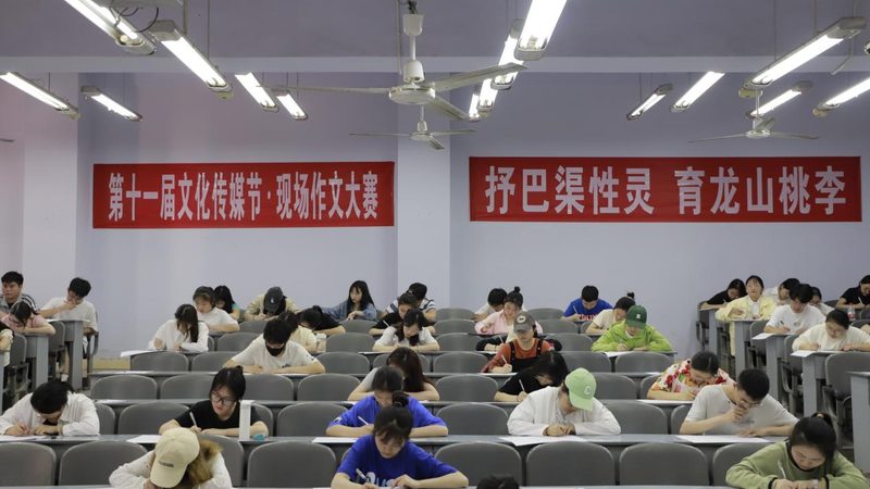 VI设计素材分类解析：揭秘企业形象塑造的幕后力量